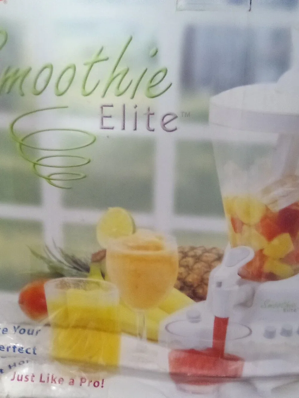 The Back to Basics Smoothie Elite Blender (Model SE2000).